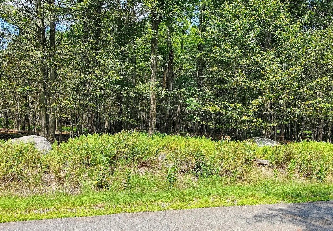 $19,550 -- 1.1 acres lot *FOR SALE*  - Gouldsboro, PA 18424