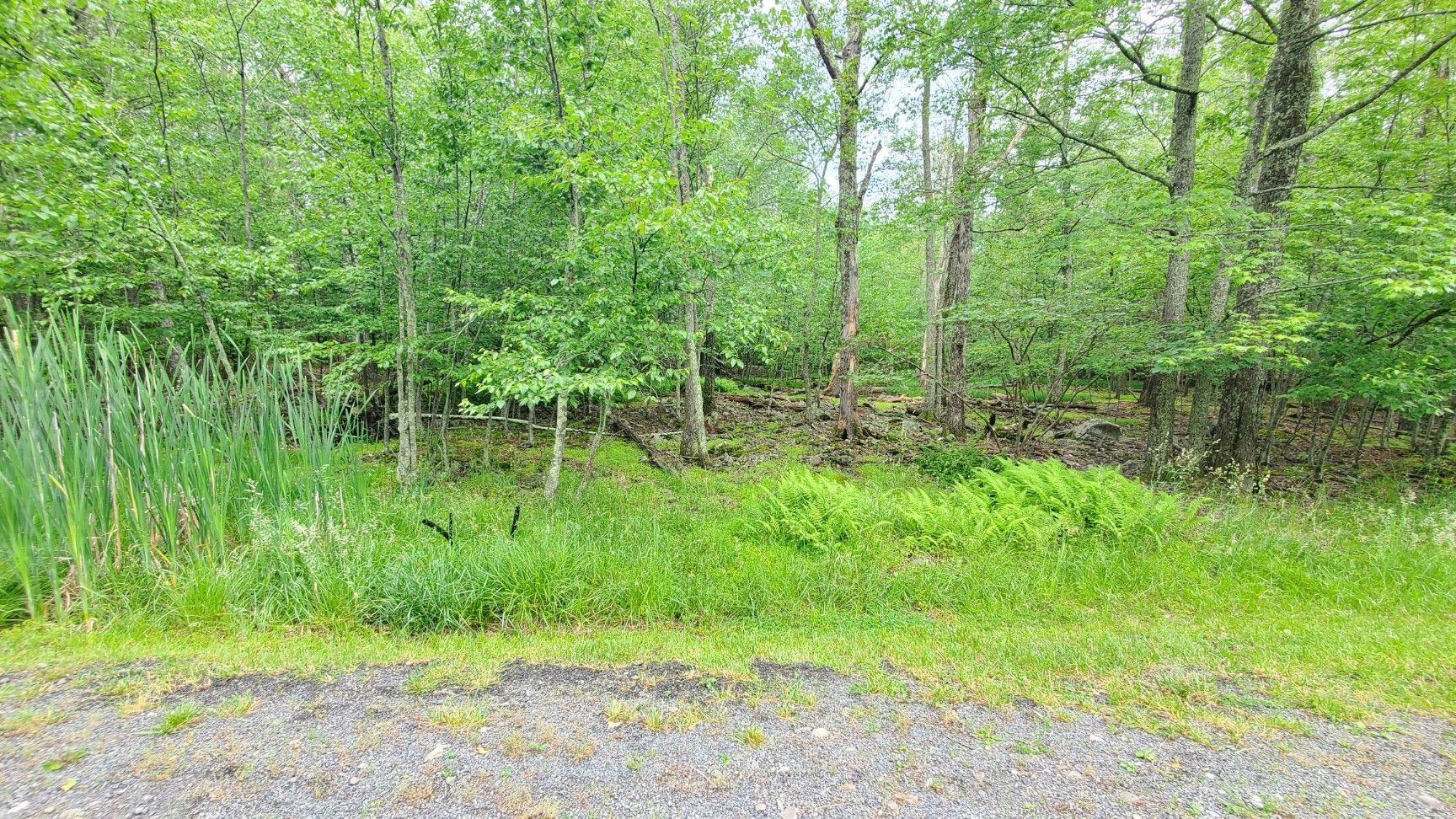 *SOLD!!* $19,900 -- .54 acre lot - Tamiment, PA 18371 