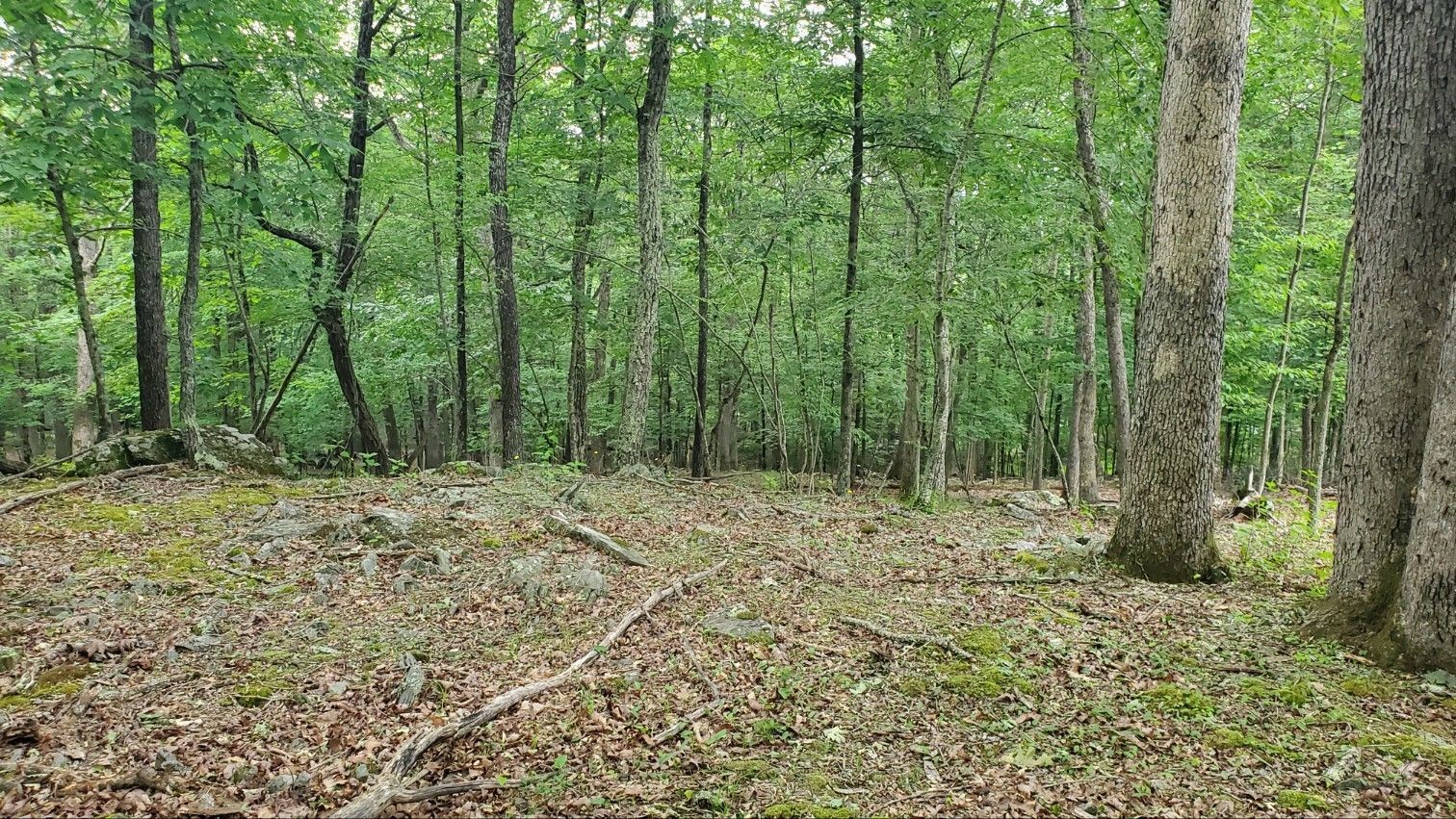 *SOLD!!* $9,900 -- .29 acre lot - Bushkill, PA 18324