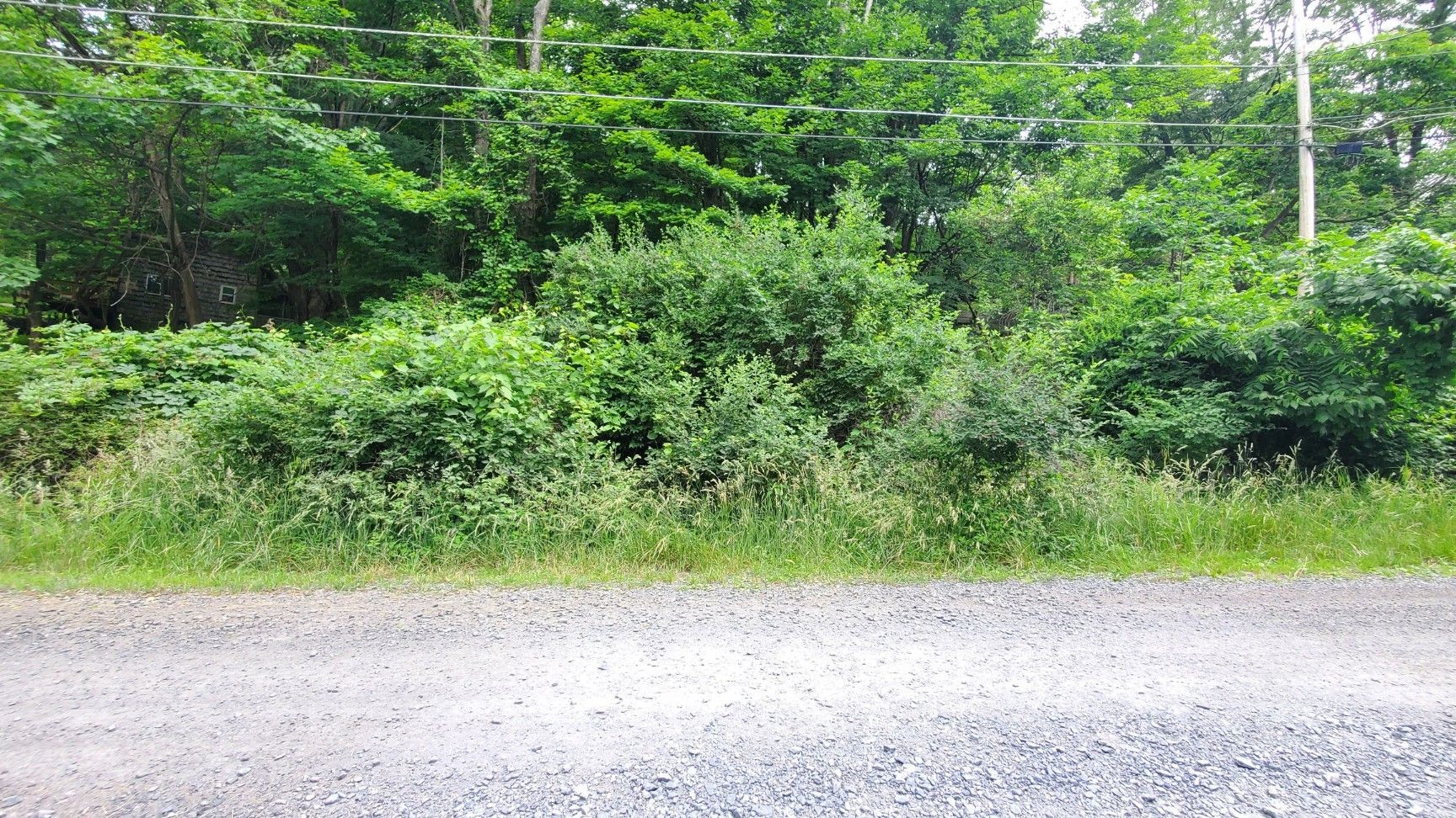 $12,900 -- .50 acre lot *FOR SALE* - East Stroudsburg, PA 18302