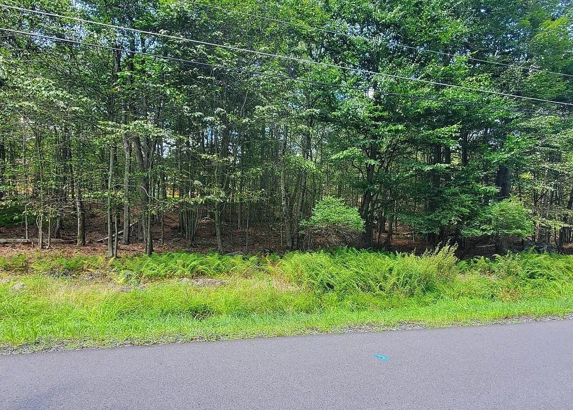 $16,500 -- .52 acre lot *FOR SALE*  - Gouldsboro, PA 18424