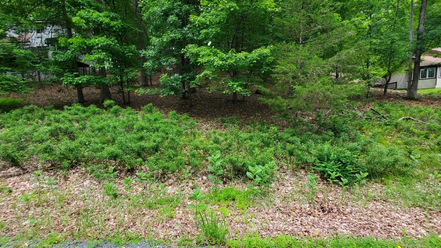 $17,500 -- .67 acre lot *FOR SALE* - Bushkill, PA 18324